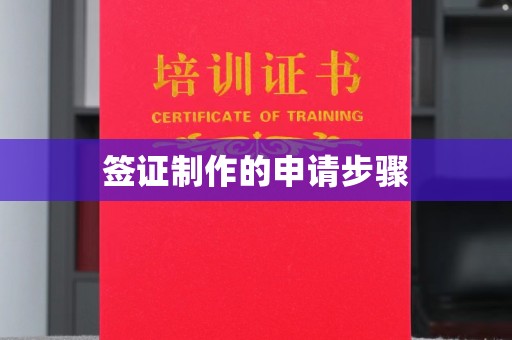 方山签证制作的申请步骤