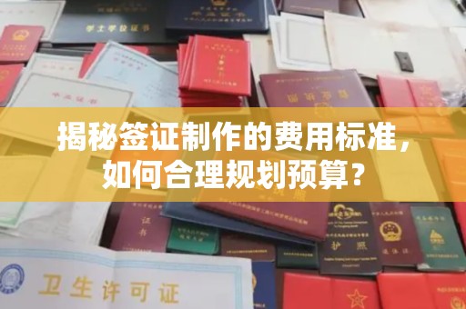 方山揭秘签证制作的费用标准，如何合理规划预算？