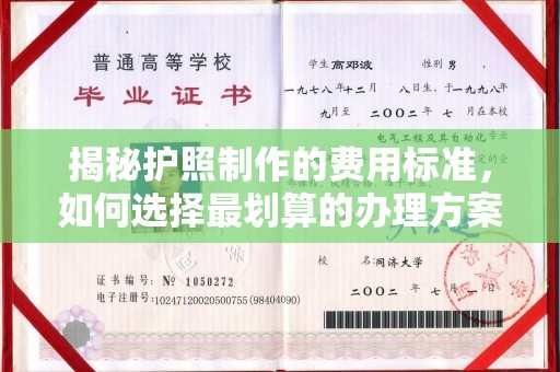 方山揭秘护照制作的费用标准，如何选择最划算的办理方案？